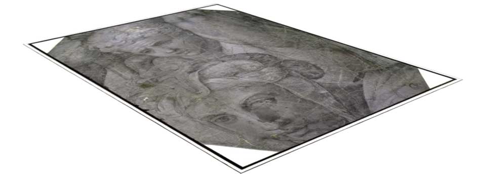 Modelli 3d